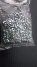 JOGO DE PARAFUSOS M3*8 3C 100 PCS 31019703